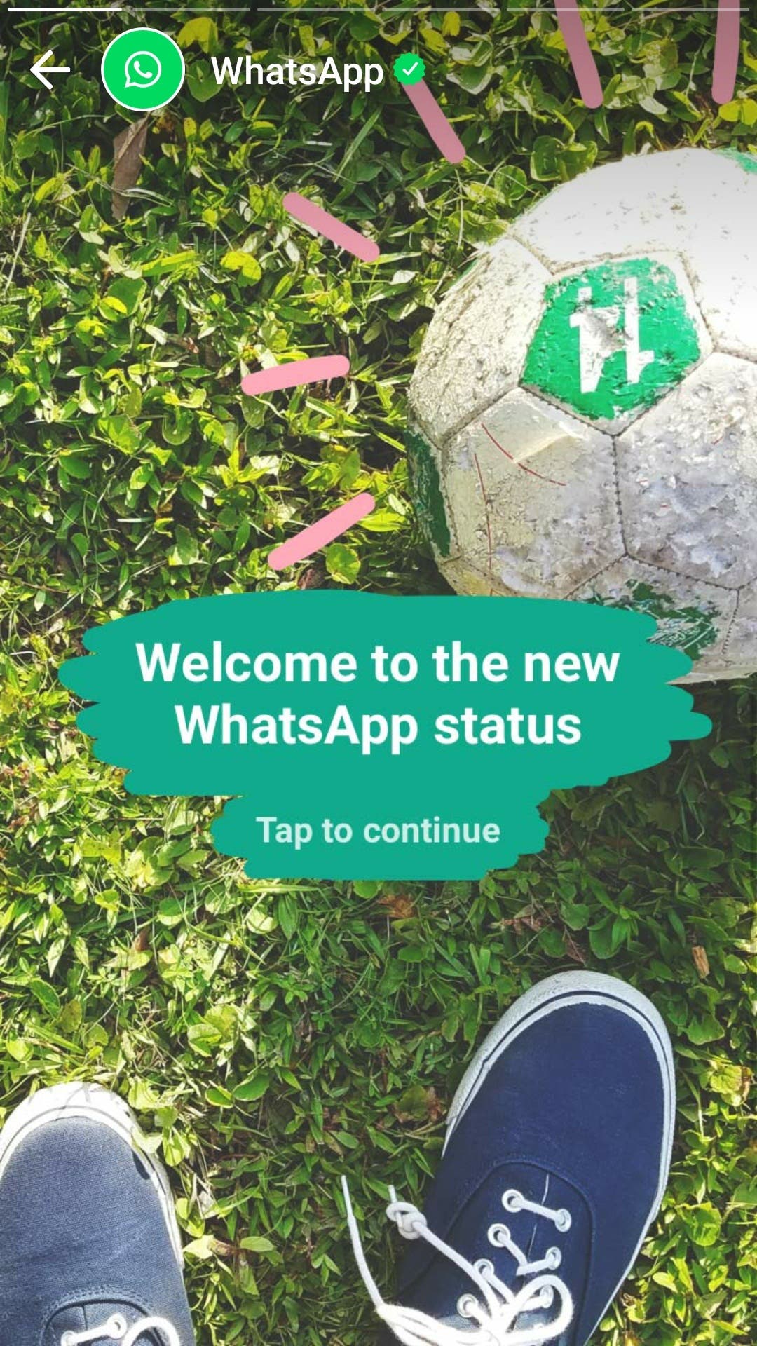 WhatsApp status feature