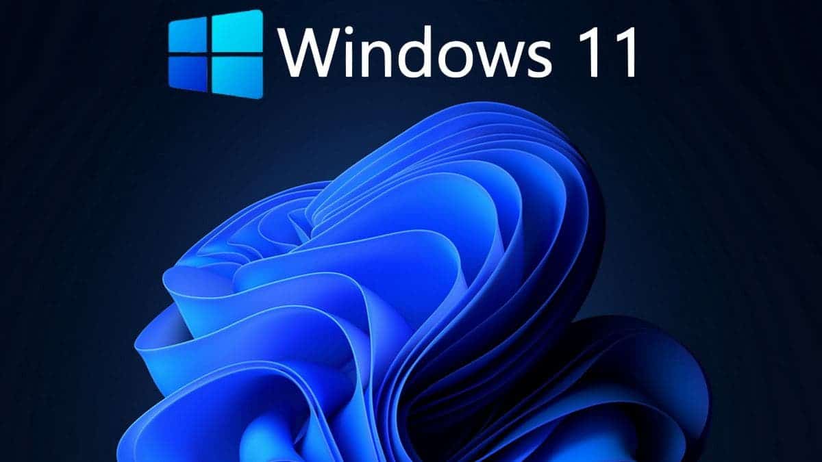 download the last version for windows Windows 11 Manager 1.2.9