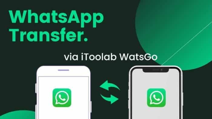 iToolab WatsGo 8.1.3 free