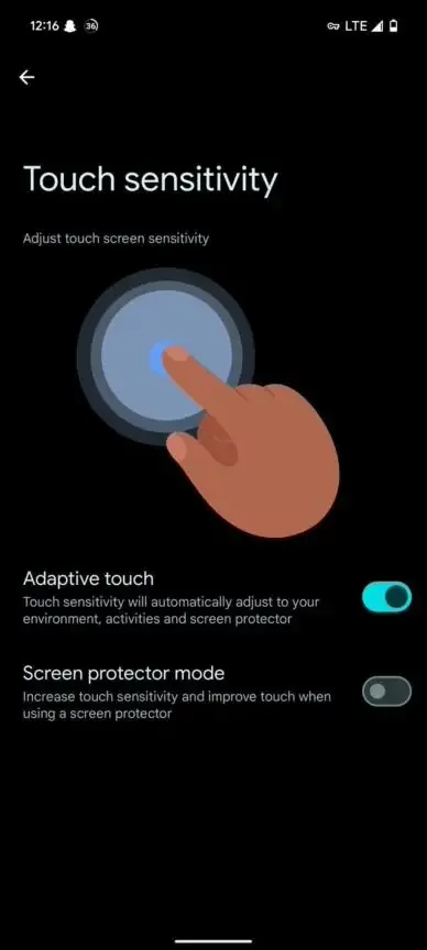 Google Pixel 9 Adaptive Touch