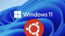 Windows 11