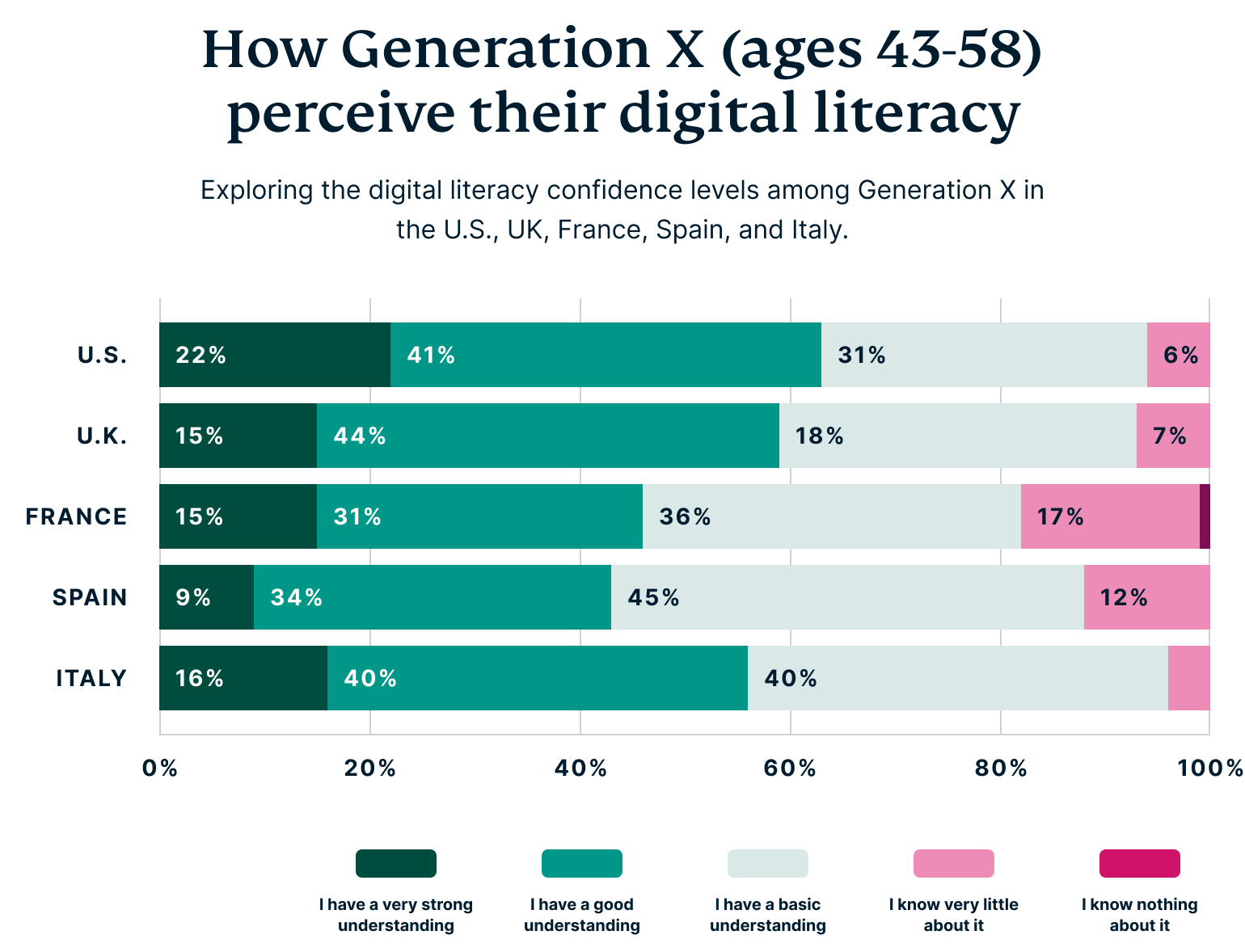 Generation X and Tech