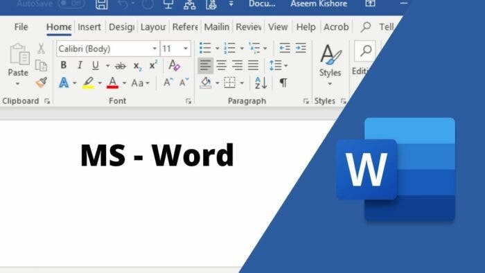 Microsoft Word